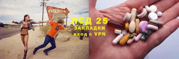 твердый Абаза