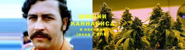 твердый Абаза
