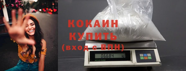 твердый Абаза