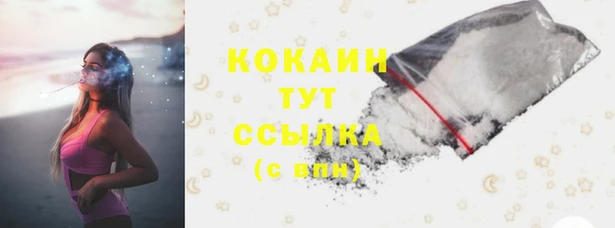 твердый Абаза