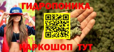 apvp Рязань