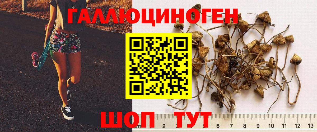 Татарск  Галлюциногенные грибы мицелий  Вход с VPN  Псилоцибиновые грибы Cubensis 